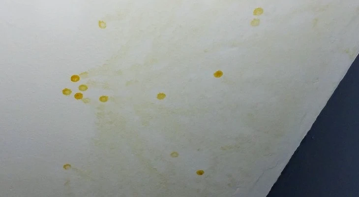 White Paint Fix For Yellow Stains